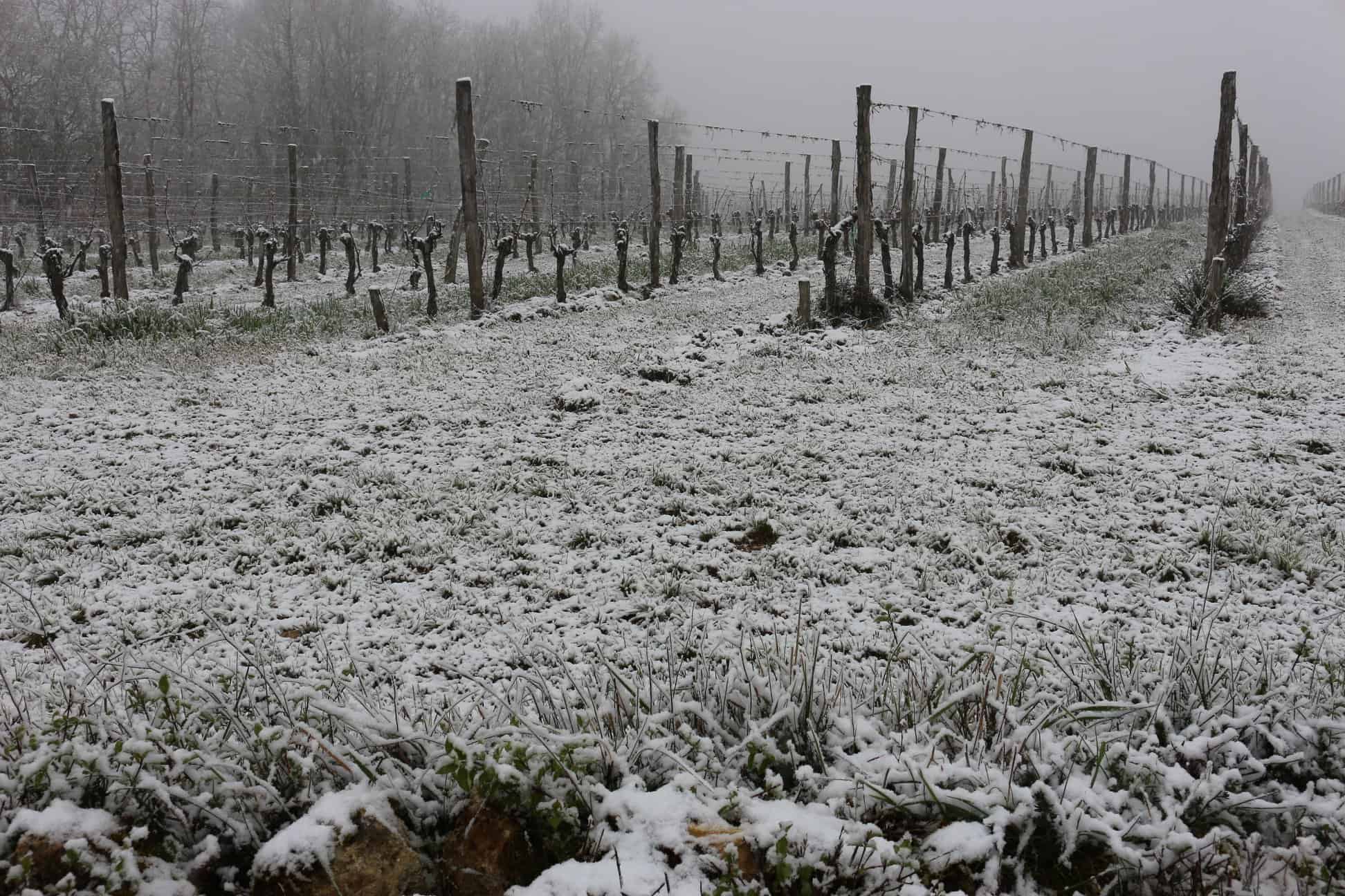 vins de dordogne