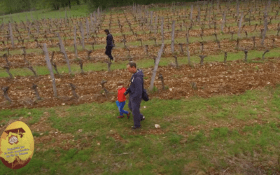Journée portes ouvertes 2019 – Chasse aux œufs