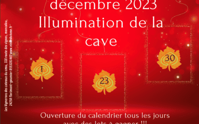 Illumination Decembre 2023