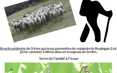 Transhumance 2024