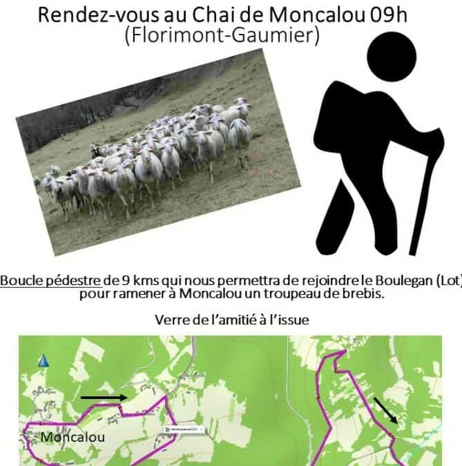 Transhumance 2024